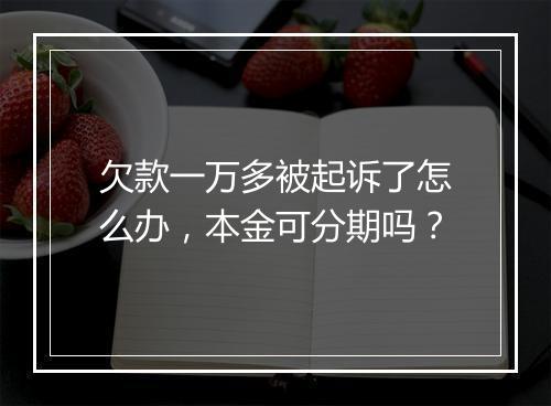欠款一万多被起诉了怎么办，本金可分期吗？