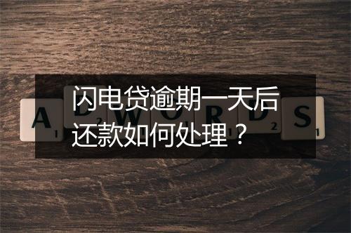 闪电贷逾期一天后还款如何处理？