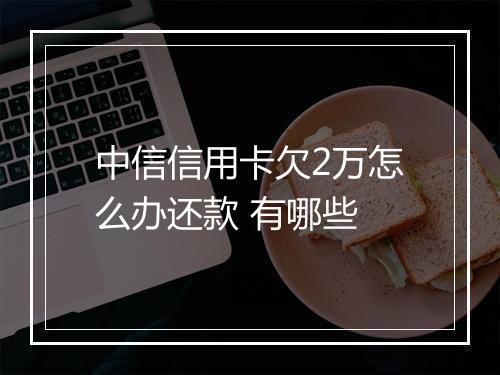 中信信用卡欠2万怎么办还款 有哪些