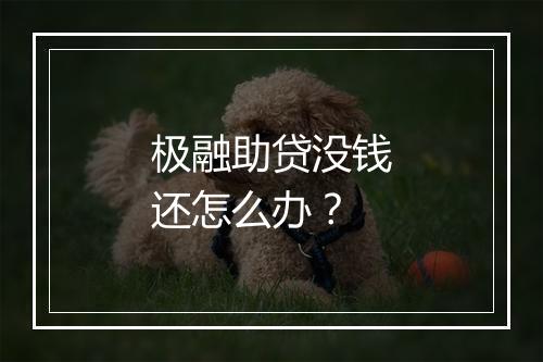 极融助贷没钱还怎么办？