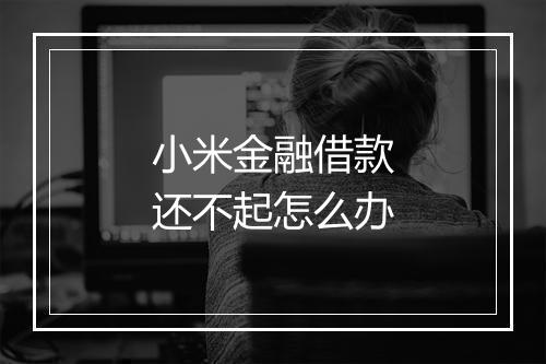 小米金融借款还不起怎么办