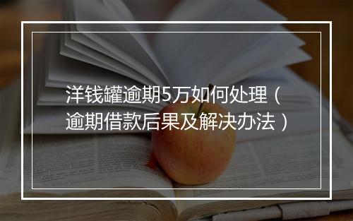 洋钱罐逾期5万如何处理（逾期借款后果及解决办法）