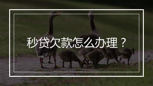 秒贷欠款怎么办理？
