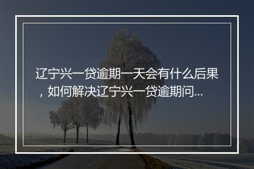 辽宁兴一贷逾期一天会有什么后果，如何解决辽宁兴一贷逾期问题