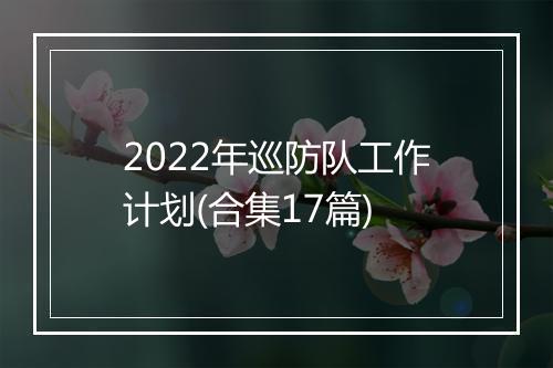 2022年巡防队工作计划(合集17篇)