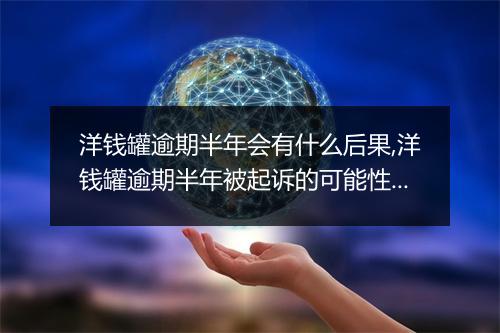 洋钱罐逾期半年会有什么后果,洋钱罐逾期半年被起诉的可能性有多大