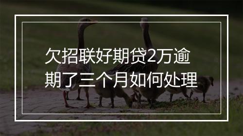 欠招联好期贷2万逾期了三个月如何处理