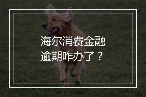 海尔消费金融逾期咋办了？