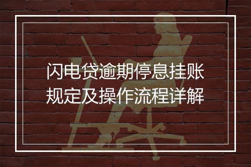 闪电贷逾期停息挂账规定及操作流程详解