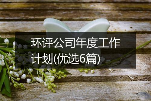 环评公司年度工作计划(优选6篇)