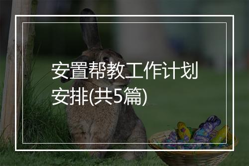 安置帮教工作计划安排(共5篇)