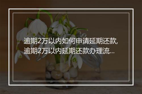 逾期2万以内如何申请延期还款,逾期2万以内延期还款办理流程