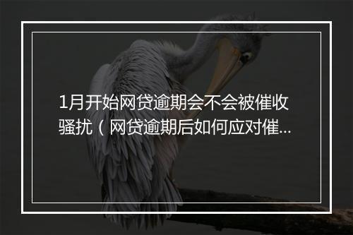 1月开始网贷逾期会不会被催收 骚扰（网贷逾期后如何应对催收 ）