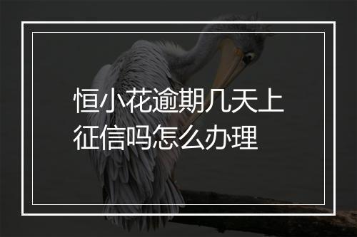 恒小花逾期几天上征信吗怎么办理