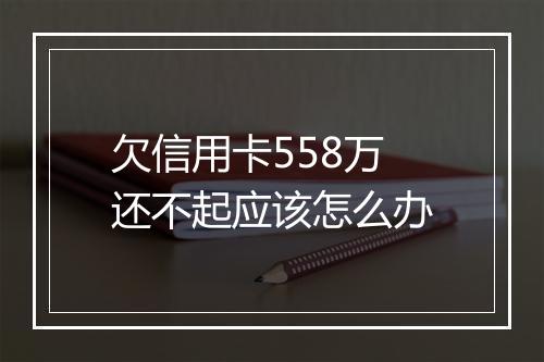 欠信用卡558万还不起应该怎么办