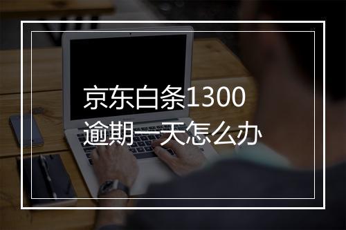 京东白条1300逾期一天怎么办