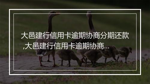 大邑建行信用卡逾期协商分期还款 ,大邑建行信用卡逾期协商还款流程