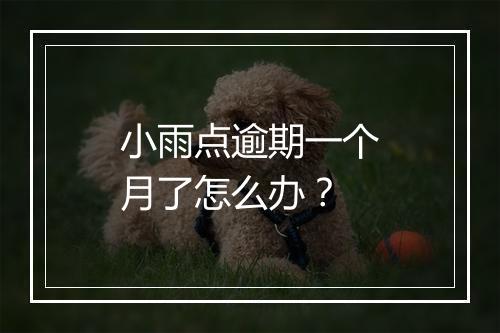 小雨点逾期一个月了怎么办？