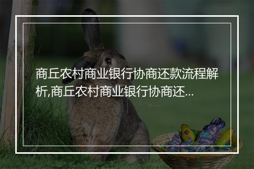 商丘农村商业银行协商还款流程解析,商丘农村商业银行协商还款注意事项
