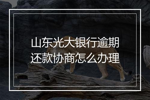 山东光大银行逾期还款协商怎么办理