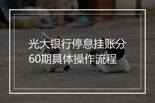 光大银行停息挂账分60期具体操作流程
