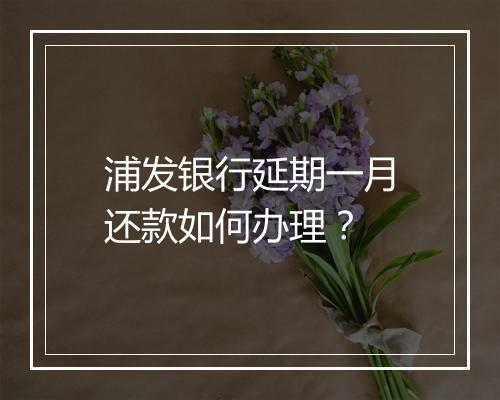 浦发银行延期一月还款如何办理？