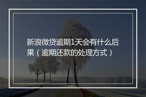 新浪微贷逾期1天会有什么后果（逾期还款的处理方式）