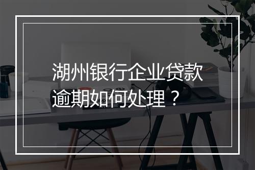 湖州银行企业贷款逾期如何处理？