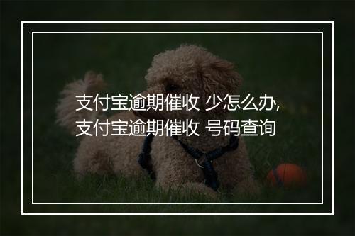 支付宝逾期催收 少怎么办,支付宝逾期催收 号码查询