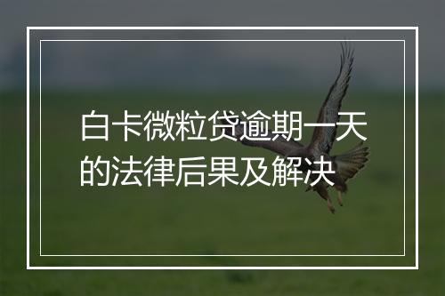 白卡微粒贷逾期一天的法律后果及解决