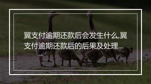 翼支付逾期还款后会发生什么,翼支付逾期还款后的后果及处理办法