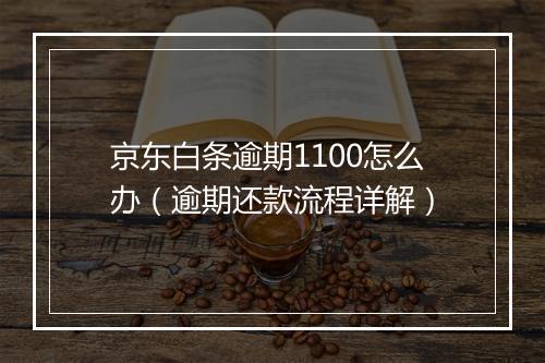 京东白条逾期1100怎么办（逾期还款流程详解）