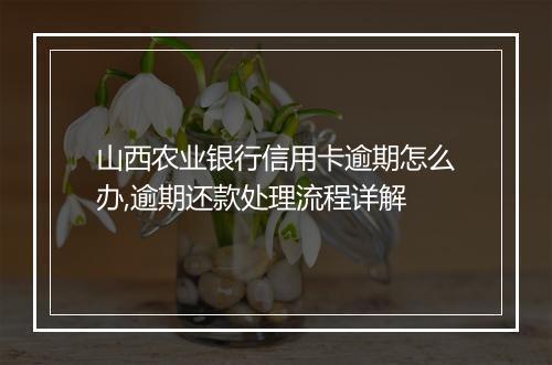 山西农业银行信用卡逾期怎么办,逾期还款处理流程详解