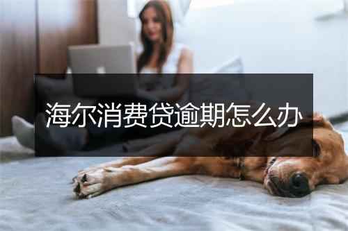 海尔消费贷逾期怎么办