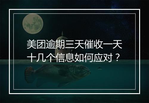 美团逾期三天催收一天十几个信息如何应对？