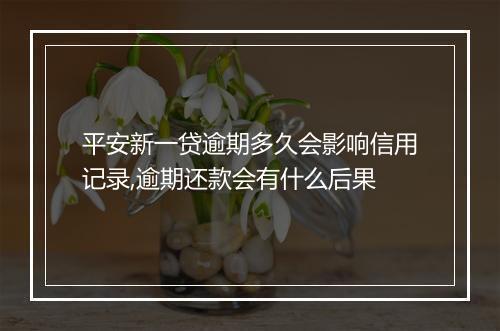 平安新一贷逾期多久会影响信用记录,逾期还款会有什么后果