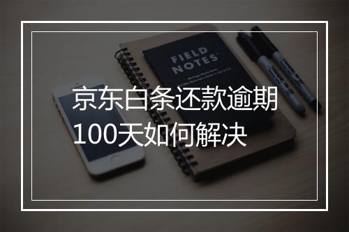 京东白条还款逾期100天如何解决