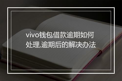 vivo钱包借款逾期如何处理,逾期后的解决办法