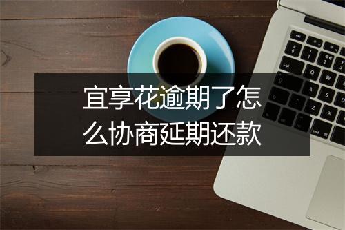 宜享花逾期了怎么协商延期还款