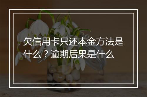 欠信用卡只还本金方法是什么？逾期后果是什么