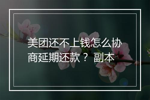 美团还不上钱怎么协商延期还款？ 副本