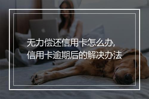 无力偿还信用卡怎么办,信用卡逾期后的解决办法