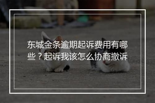 东城金条逾期起诉费用有哪些？起诉我该怎么协商撤诉