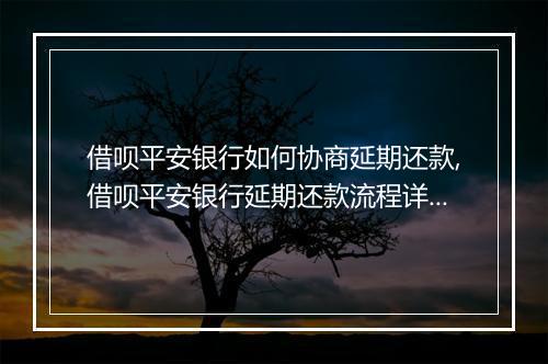 借呗平安银行如何协商延期还款,借呗平安银行延期还款流程详解
