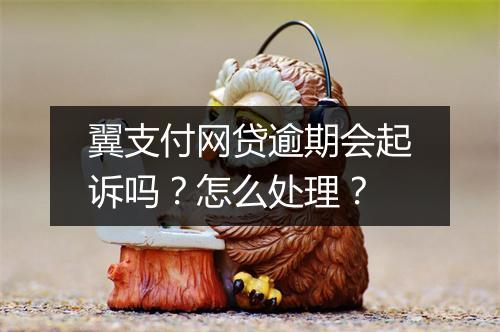 翼支付网贷逾期会起诉吗？怎么处理？
