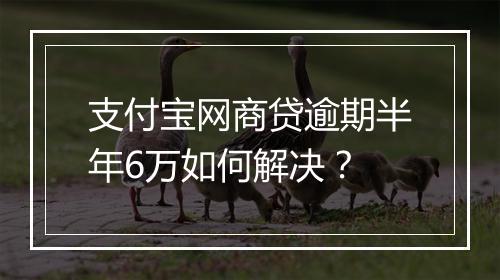 支付宝网商贷逾期半年6万如何解决？