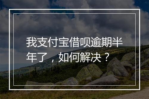 我支付宝借呗逾期半年了，如何解决？
