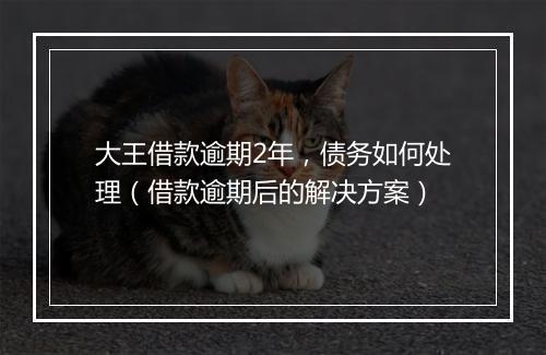 大王借款逾期2年，债务如何处理（借款逾期后的解决方案）