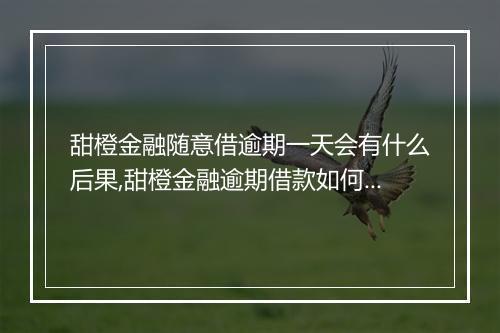 甜橙金融随意借逾期一天会有什么后果,甜橙金融逾期借款如何处理