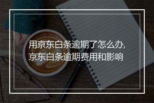 用京东白条逾期了怎么办,京东白条逾期费用和影响